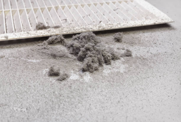 Best Local Air Duct Cleaning Services  in Tamarac, FL