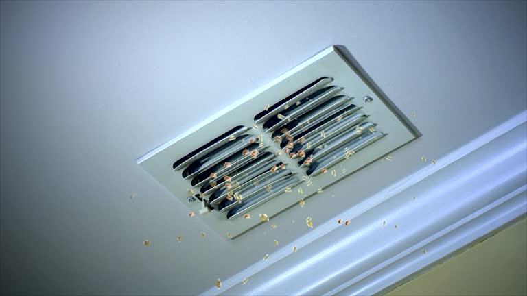  Tamarac, FL Airduct Cleaning Pros