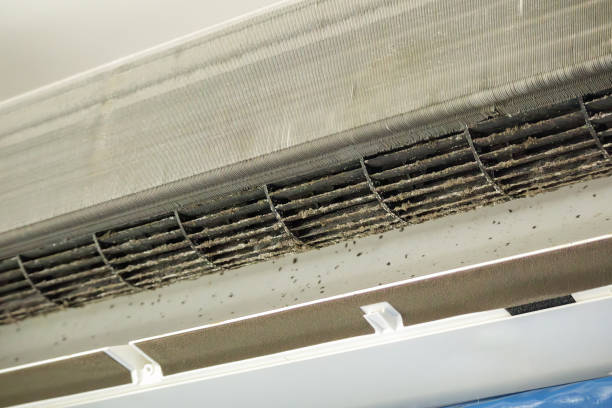 Best HVAC System Cleaning  in Tamarac, FL